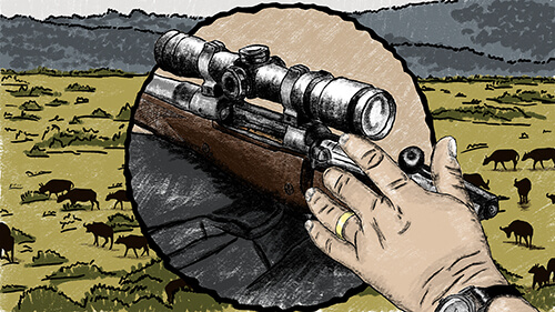 Illustration developed for a commercial promoting the CZ550 rifle.