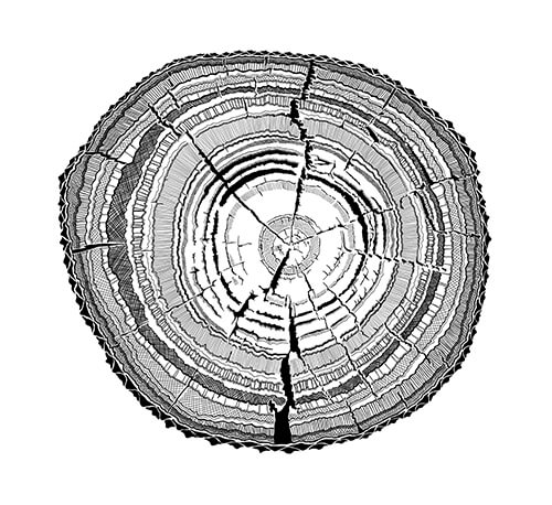 Tree stump line art.