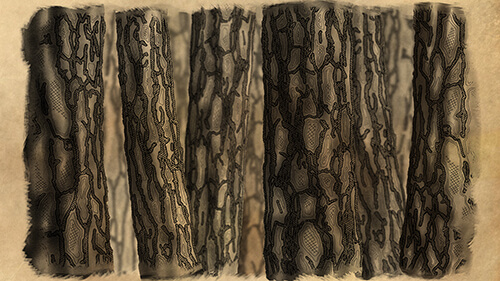 Tree trunk illustration for use in my &ldquo;Forest for the Trees&rdquo; title sequence.