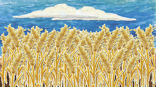 Wheat field illustration created for use in a motion graphics animation.