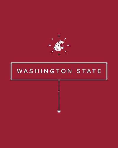 Sample of one of the infographic panels that I designed and then animated for the State of the University address.