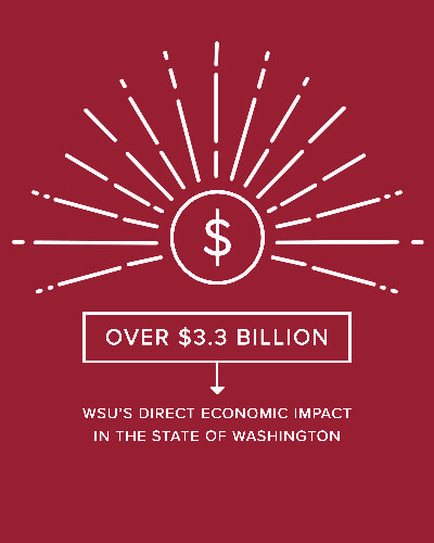 Sample of one of the infographic panels that I designed and then animated for the State of the University address.