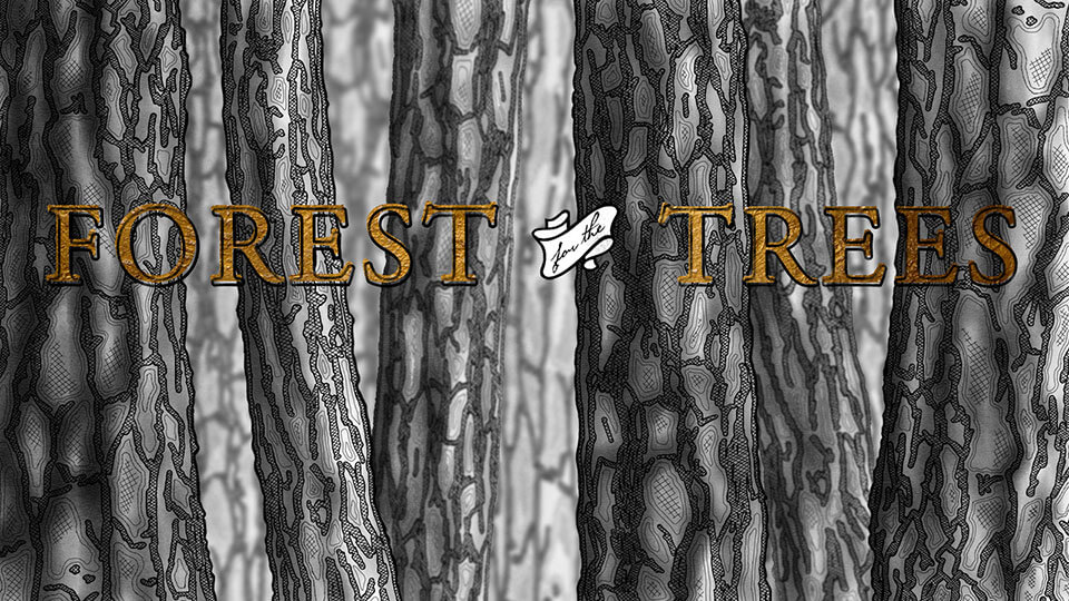 Illustration of tree trunks with the Forest for the Trees logo art.