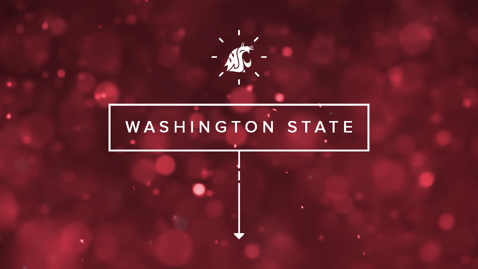 Screengrab from one of the State of the University infographic videos.