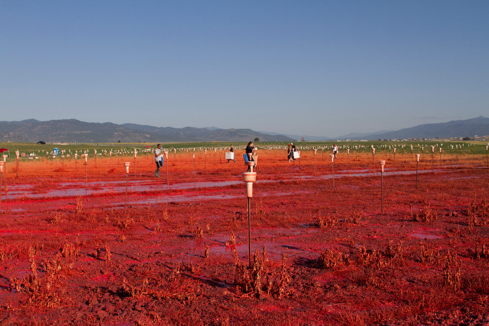 Retardant residue build-up over three weeks of drop testing.