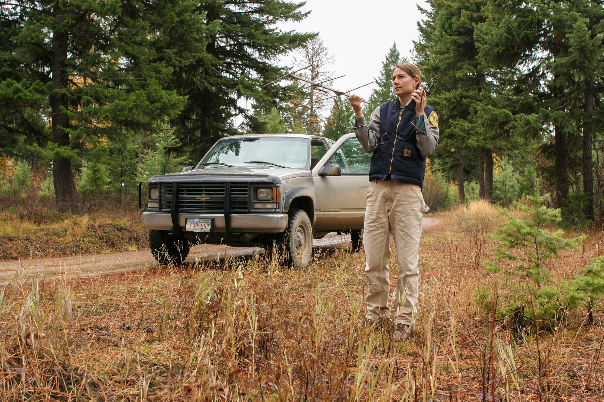 Montana Fish, Wildlife & Parks agent Liz Bradley listens to the ultrasound-like beeping of two collared wolves northwest of Missoula, Montana.