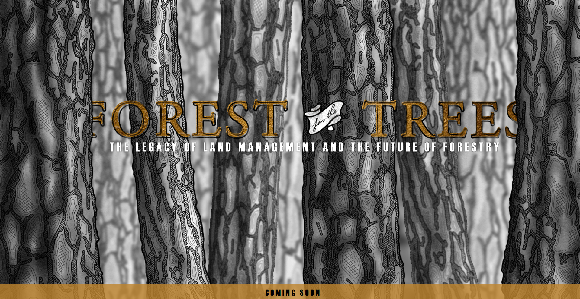 Screengrab of the parallax introductory page from the Forest of the Trees website.