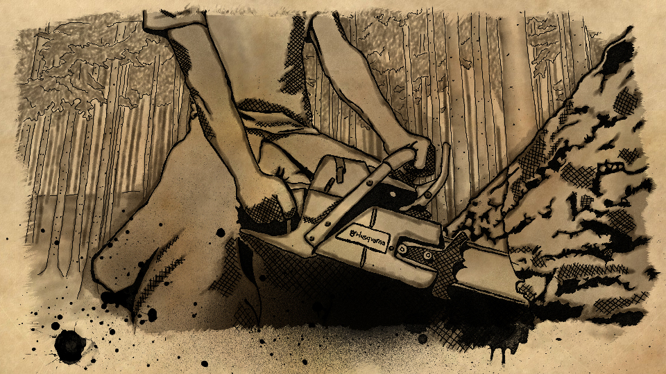 Still image from the Forest for the Trees title sequence that I illustrated and animated.