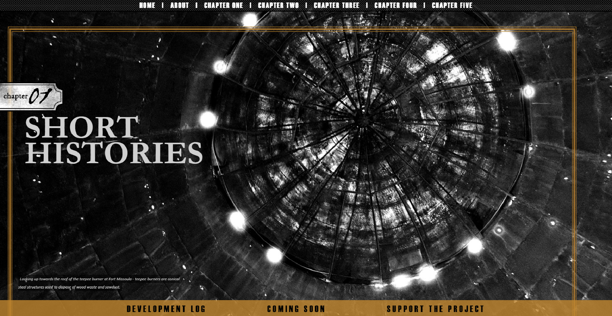 Screengrabs from the Forest for the Trees website.